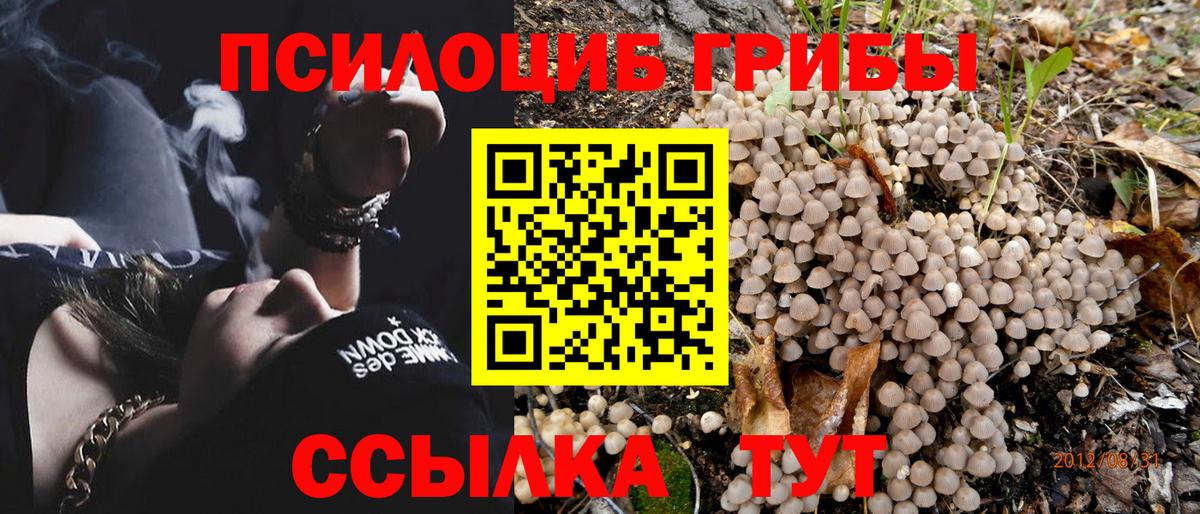 Псилоцибиновые грибы MAGIC MUSHROOMS  хочу наркоту  Нижний Новгород  Вход с VPN 